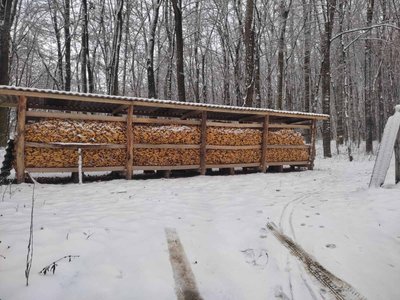 Лісівники Вінниччини розпочали зимову підгодівлю тварин Лісівники Вінниччини розпочали зимову підгодівлю тварин