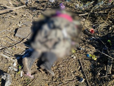 Через авіаудар у Хотінській громаді загинула жінка
