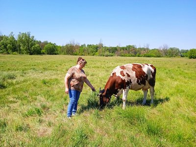 Чому на Сумщині не вигідно утримувати велику худобу Чому на Сумщині не вигідно утримувати велику худобу