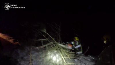 Розчистили дорогу від поваленого дерева, відбуксирували швидку та вантажівку Розчистили дорогу від поваленого дерева, відбуксирували швидку та вантажівку