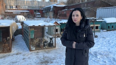 Як у Полтаві під час морозів доглядають за тваринами Як у Полтаві під час морозів доглядають за тваринами