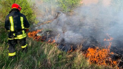 На Черкащині вісім разів горів сухостій: один чоловік отримав травми На Черкащині вісім разів горів сухостій: один чоловік отримав травми