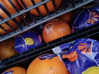 Шуба, огірок свіжий та електричний гриль: що продавала Чернівецька митниця на аукціонах
