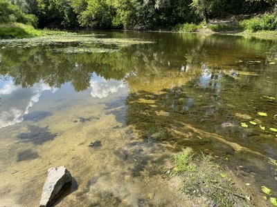 "По кісточки було": у річках Полтавщини виявили низький рівень води "По кісточки було": у річках Полтавщини виявили низький рівень води