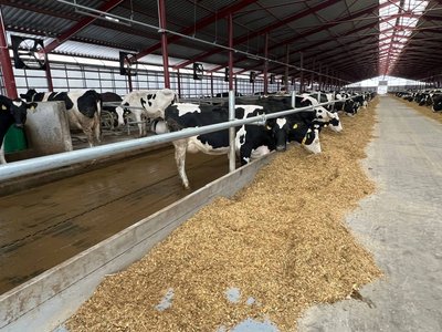 Сільгоспвиробництво Вінниччини 2024: як аграрії подолали труднощі та що зміниться у 2025 Сільгоспвиробництво Вінниччини 2024: як аграрії подолали труднощі та що зміниться у 2025