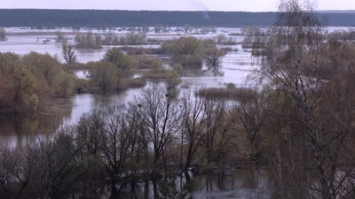 "Пішла вода – і риба з'явилась": як повінь-2026 у Мезинському парку вплинула на інші природні процеси і чому "Пішла вода – і риба з'явилась": як повінь-2026 у Мезинському парку вплинула на інші природні процеси і чому