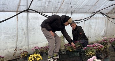 "Всі свої знання і досвід хочу передати дітям": житель Хмельниччини займається вирощуванням квітів понад 10 років "Всі свої знання і досвід хочу передати дітям": житель Хмельниччини займається вирощуванням квітів понад 10 років