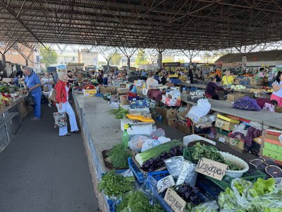 Новий урожай картоплі на Полтавщині: які ціни на ринках та в супермаркетах Новий урожай картоплі на Полтавщині: які ціни на ринках та в супермаркетах