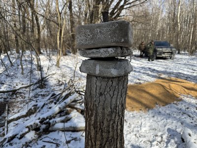 На Полтавщині лісівники підгодовують диких тварин: чим і кого годують На Полтавщині лісівники підгодовують диких тварин: чим і кого годують