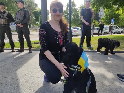 До Дня вишиванки у Житомирі городяни бігли патріотичний крос у вишиванках До Дня вишиванки у Житомирі городяни бігли патріотичний крос у вишиванках