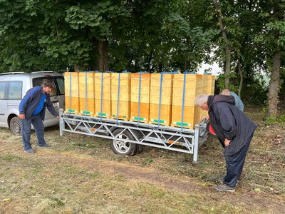 "Знайомтесь з місциною дівчатка": черкаські пасічники вивозять вулики на соняшник "Знайомтесь з місциною дівчатка": черкаські пасічники вивозять вулики на соняшник