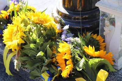 могили бійців, соняшники, акція пам’яті могили бійців, соняшники, акція пам’яті