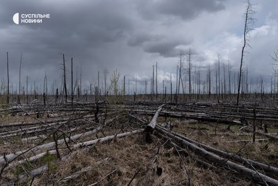 Частина Чорнобильського лісу у зоні відчуження, знищена внаслідок лісових пожеж, 22 квітня 2026 року Частина Чорнобильського лісу у зоні відчуження, знищена внаслідок лісових пожеж, 22 квітня 2026 року