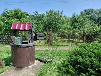 Криниця, де зафіксували гарячу воду Криниця, де зафіксували гарячу воду