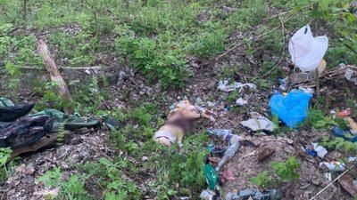 У Худяках чоловіка підозрюють у жорстокому поводженні з твариною У Худяках чоловіка підозрюють у жорстокому поводженні з твариною