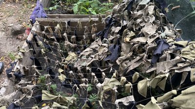 Самшити та туї в розпліднику у національному парку "Святі гори" Донецька область 19 вересня 2025 рік Самшити та туї в розпліднику у національному парку "Святі гори" Донецька область 19 вересня 2025 рік
