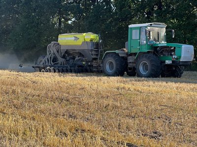 У 2,5 рази менше ніж торік: посів гречки на Вінниччині У 2,5 рази менше ніж торік: посів гречки на Вінниччині