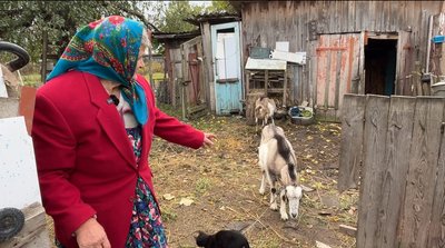 Як 83-річна пенсіонерка з Рівненщини запасає на зиму яблука та груші, зриваючи їх з високих дерев Як 83-річна пенсіонерка з Рівненщини запасає на зиму яблука та груші, зриваючи їх з високих дерев
