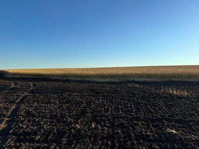 Росія вдруге за тиждень вдарили по пшеничному полю на Харківщині Росія вдруге за тиждень вдарили по пшеничному полю на Харківщині