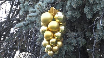 На центральній площі Луцька вбирають до свят ялинки На центральній площі Луцька вбирають до свят ялинки