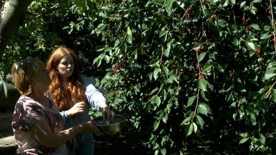 Родина з Херсона відроджує тепличне господарство на Вінниччині Родина з Херсона відроджує тепличне господарство на Вінниччині