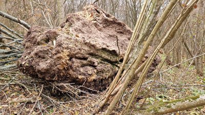 Водоспад Дівочі сльози, на Тернопільщині обвалилася скеля Водоспад Дівочі сльози, на Тернопільщині обвалилася скеля