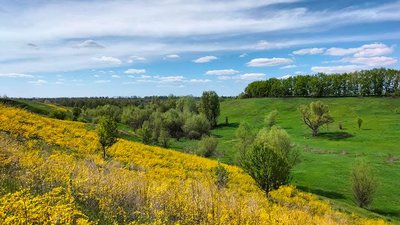 36 гектарів сон-трави: на Черкащині охоронятимуть схил 36 гектарів сон-трави: на Черкащині охоронятимуть схил