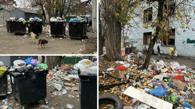 Сміття розкидане під деревами й висить на гіллі. У кропивницькому дворі утворився смітник Сміття розкидане під деревами й висить на гіллі. У кропивницькому дворі утворився смітник