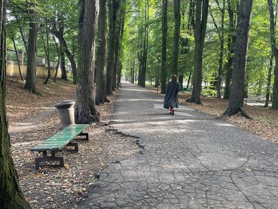 У Чернівцях розпочнуть ремонт доріжок у парку Шевченка У Чернівцях розпочнуть ремонт доріжок у парку Шевченка