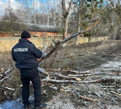 Поліцейський пиляє дерево у Нововодолазькій громаді на Харківщині Поліцейський пиляє дерево у Нововодолазькій громаді на Харківщині
