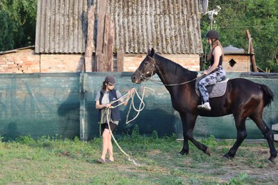 Іпотерапія для ветеранів: як на Охтирщині реабілітують за допомогою коней Іпотерапія для ветеранів: як на Охтирщині реабілітують за допомогою коней