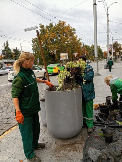 У Харкові почали готувати клуби до зими: квіти прибирають У Харкові почали готувати клуби до зими: квіти прибирають