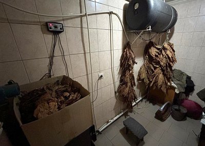 На Волині з підпільного виробництва вилучили майже тонну тютюну На Волині з підпільного виробництва вилучили майже тонну тютюну