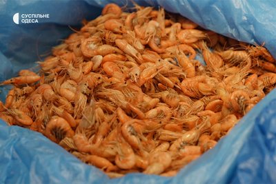 Скільки коштують креветки в Одесі Скільки коштують креветки в Одесі