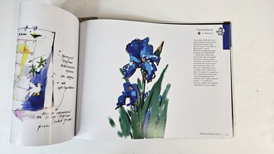 Херсонщина, Поліна Райко, іриси, скетч-бук "Насіння Поліни Райко" Херсонщина, Поліна Райко, іриси, скетч-бук "Насіння Поліни Райко"