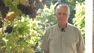 Вирощують 150 сортів винограду на власному подвір'ї: історія подружжя Гарбарів з Рівненщини Вирощують 150 сортів винограду на власному подвір'ї: історія подружжя Гарбарів з Рівненщини