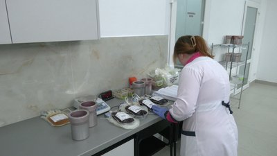 Замість 4 крісел — 8: нове відділення запустили у Рівненському обласному центрі служби крові Замість 4 крісел — 8: нове відділення запустили у Рівненському обласному центрі служби крові