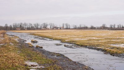 Морози й крига на полях Кіровоградщини: як вплинули на озимі та чи можна врятувати посіви Морози й крига на полях Кіровоградщини: як вплинули на озимі та чи можна врятувати посіви