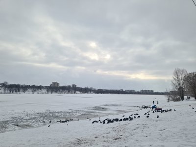Ожеледиця та -17: яка очікується погода на Сумщині Ожеледиця та -17: яка очікується погода на Сумщині