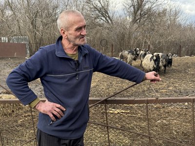 “На кого ж я їх оставлю”. Історія пенсіонера з Прилісного, який тримає баранів біля фронту “На кого ж я їх оставлю”. Історія пенсіонера з Прилісного, який тримає баранів біля фронту