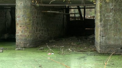 На Вінниччині екологи перевіряли стан річки Рось На Вінниччині екологи перевіряли стан річки Рось