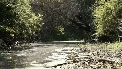 На межі Тернопільщини і Прикарпаття пошкодили русло річки, що відомо про екологічний інцидент На межі Тернопільщини і Прикарпаття пошкодили русло річки, що відомо про екологічний інцидент