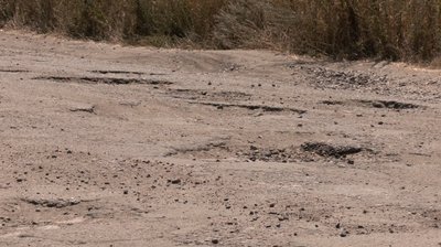 Чи відремонтують на Черкащині автошлях у напрямку Тального від межі з Кіровоградщиною Чи відремонтують на Черкащині автошлях у напрямку Тального від межі з Кіровоградщиною