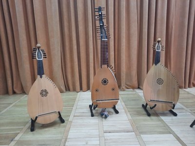 Інструменти виготовив власноруч. У Миколаєві відбувся концерт кобзи, бандури і торбана