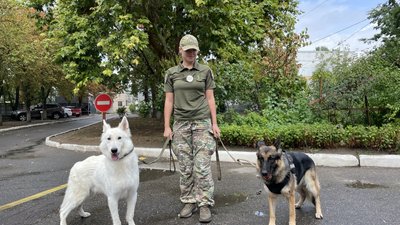 Знайомство зі службовими собаками: для маленьких пацієнтів миколаївської лікарні влаштували шоу-програму