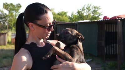 На стерилізацію собак у Кропивницькому виділили 1,6 мільйона гривень, проте вилов тимчасово призупинили: коли відновлять На стерилізацію собак у Кропивницькому виділили 1,6 мільйона гривень, проте вилов тимчасово призупинили: коли відновлять
