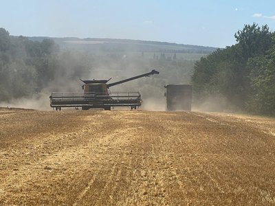 На Вінниччині стартували жнива На Вінниччині стартували жнива