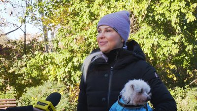 Півтори тисячі гривень за костюм для собаки: кого з улюбленців необхідно одягати цієї зими Півтори тисячі гривень за костюм для собаки: кого з улюбленців необхідно одягати цієї зими