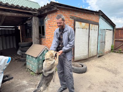 "Одне слово – не стріляють": як живе ферма, евакуйована з Миропілля на Сумщині "Одне слово – не стріляють": як живе ферма, евакуйована з Миропілля на Сумщині