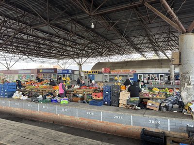 На Полтавщині здорожчають ранні тепличні овочі: чи впливає війна на Близькому Сході